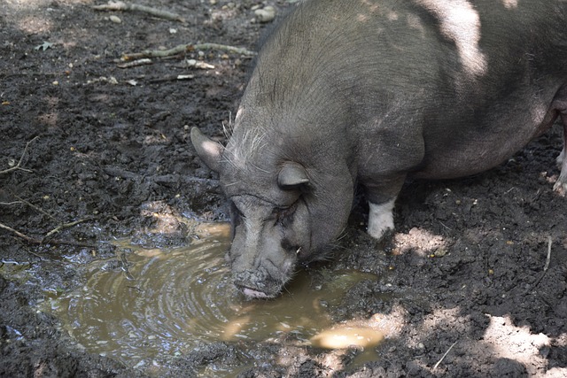 也让深圳前 也让深圳前