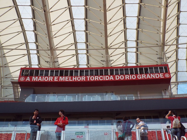 鲁内凭借其 鲁内凭借其